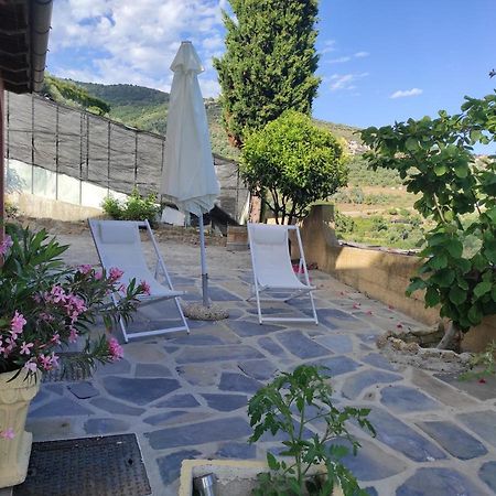 La Casa Del Podere Castellaro  Zewnętrze zdjęcie