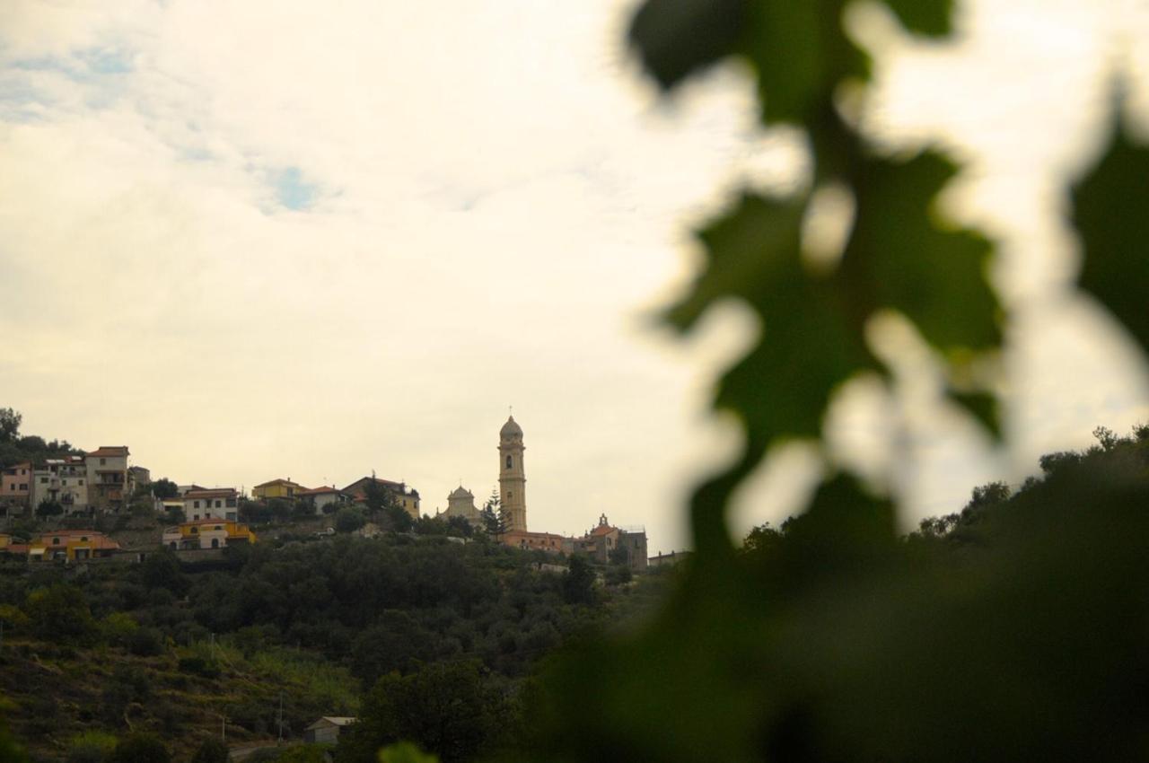 La Casa Del Podere Castellaro  Zewnętrze zdjęcie