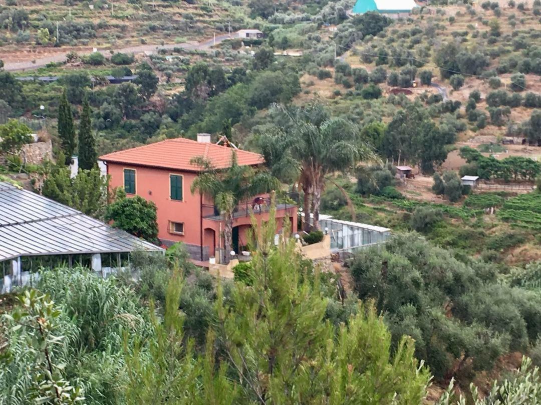 La Casa Del Podere Castellaro  Zewnętrze zdjęcie